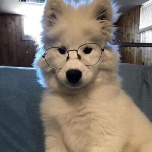 Profile photo of Christiana